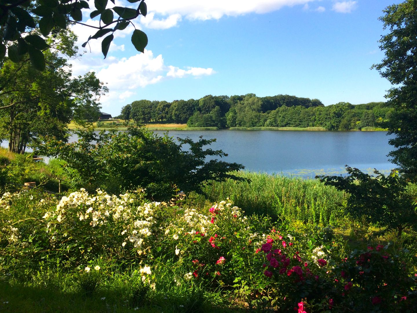  Koboldshütte Scharbeutz - Gartenblick