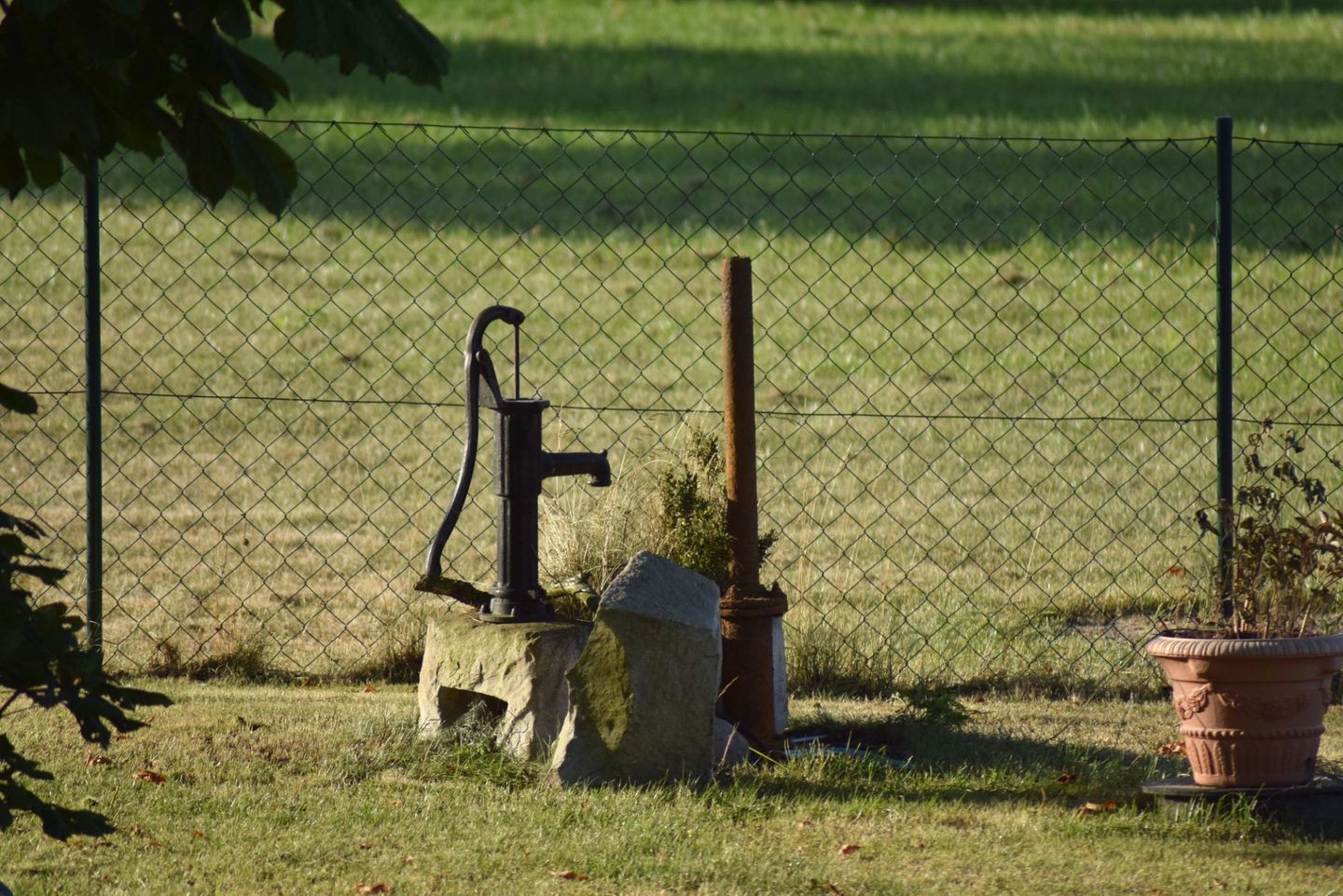 Große Schwalbe Kabelhorst - Garten