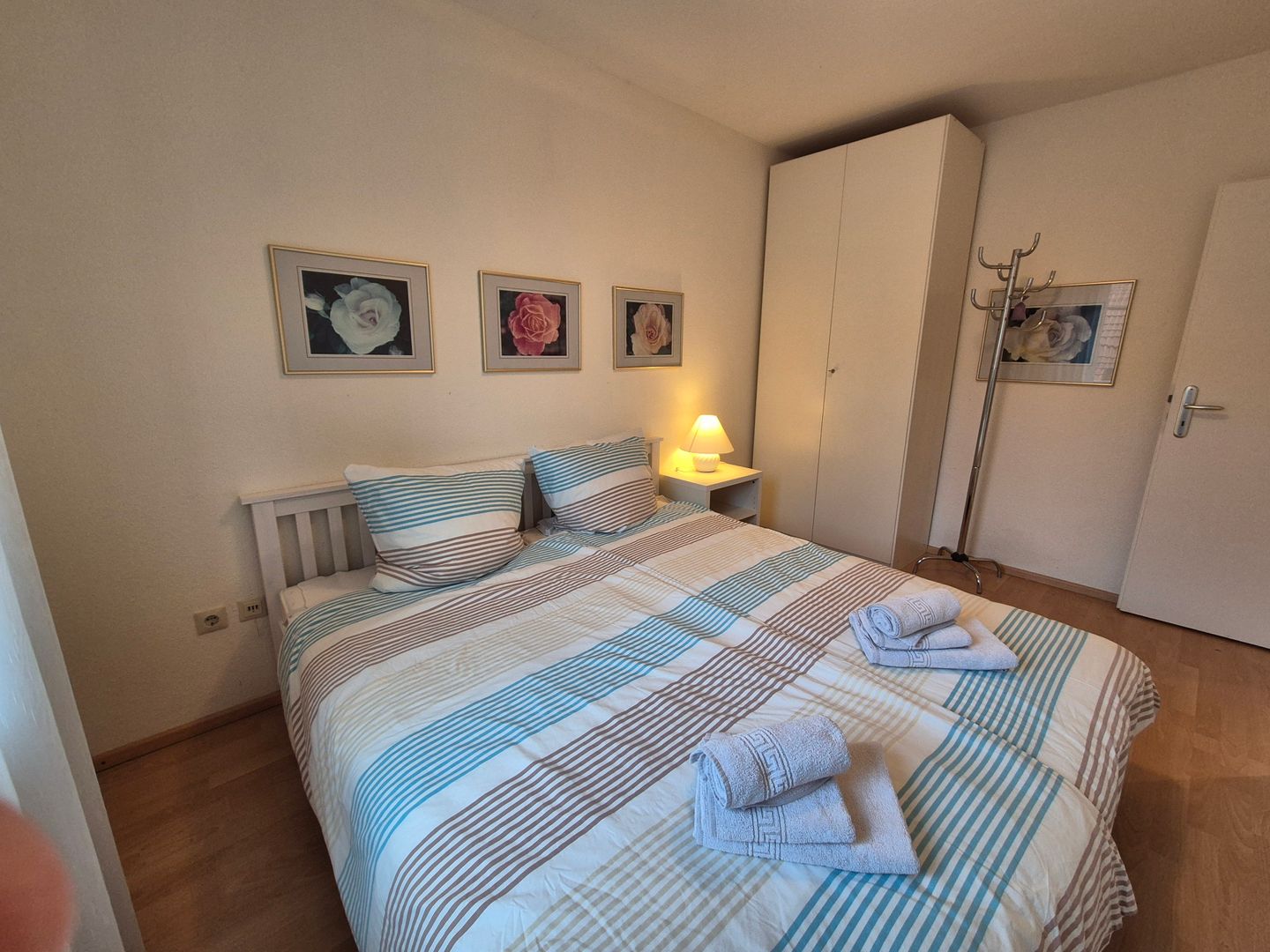  Kegelrobbe Norddeich - 