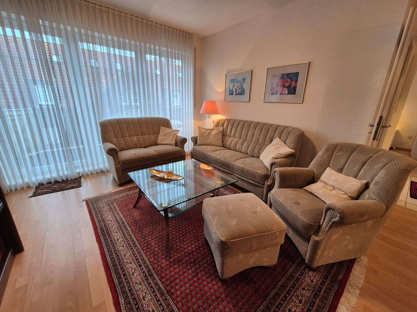  Kegelrobbe Norddeich - 