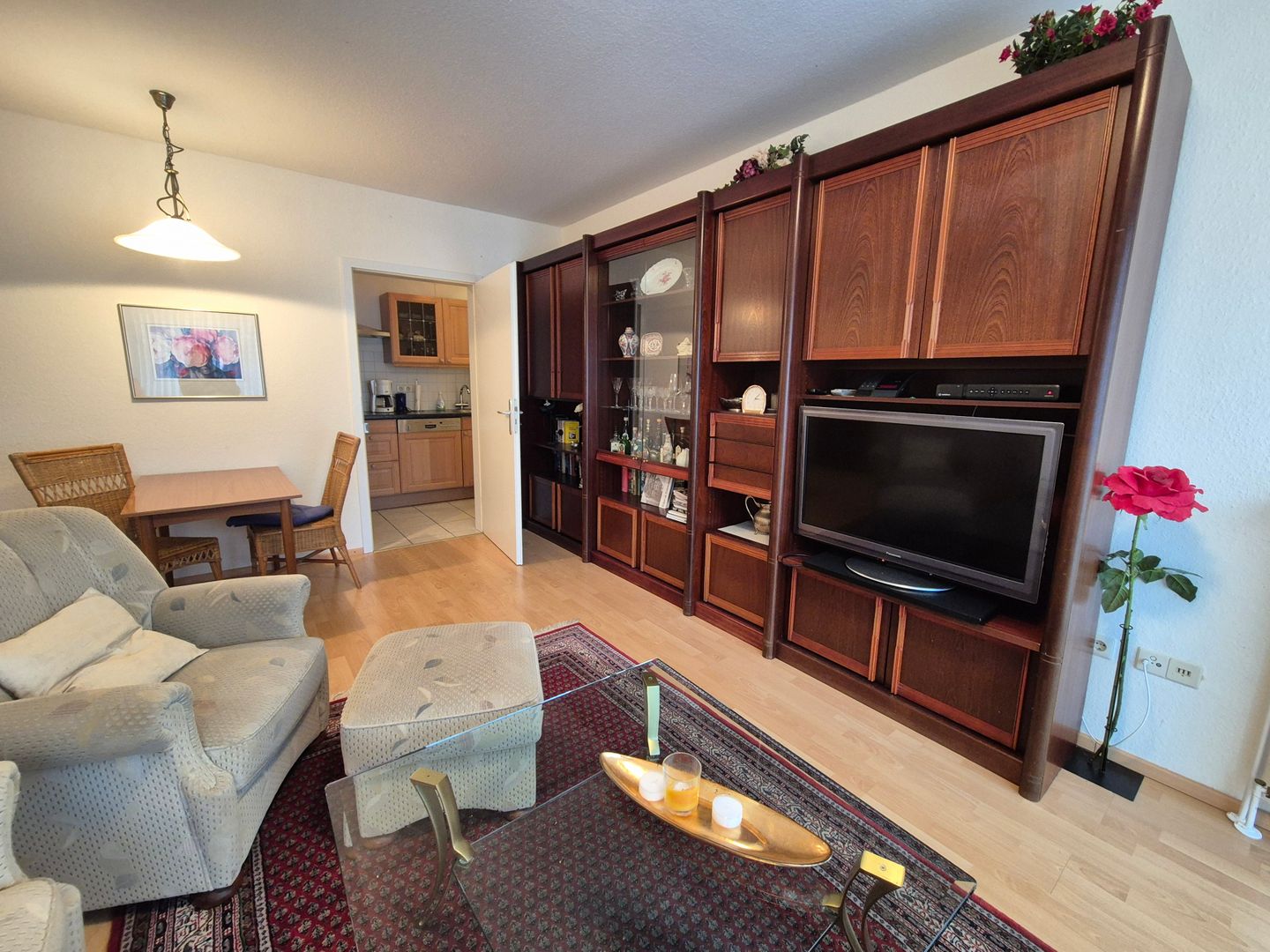  Kegelrobbe Norddeich - 