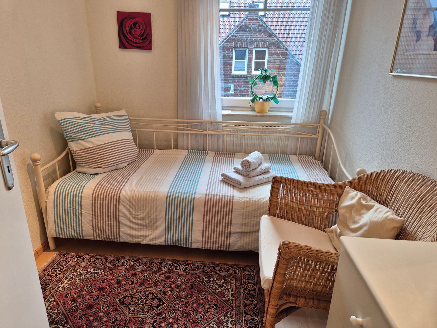  Kegelrobbe Norddeich - 