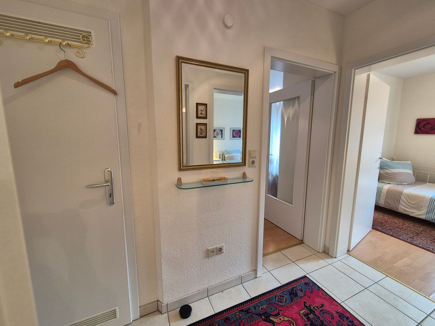  Kegelrobbe Norddeich - 