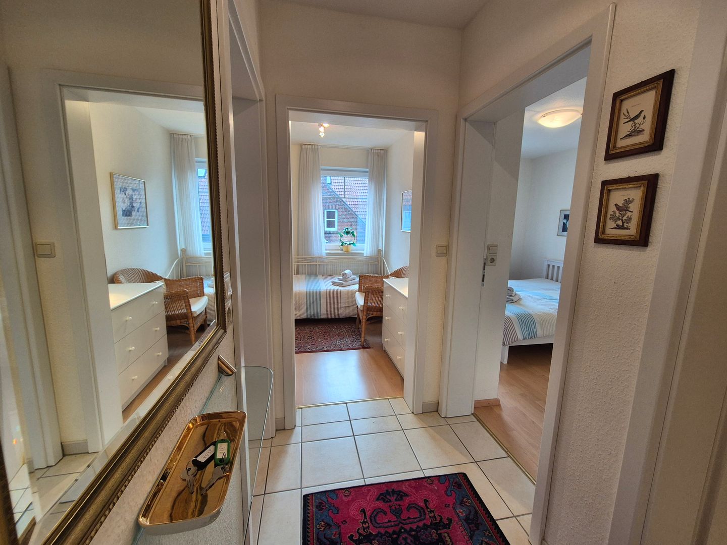  Kegelrobbe Norddeich - 