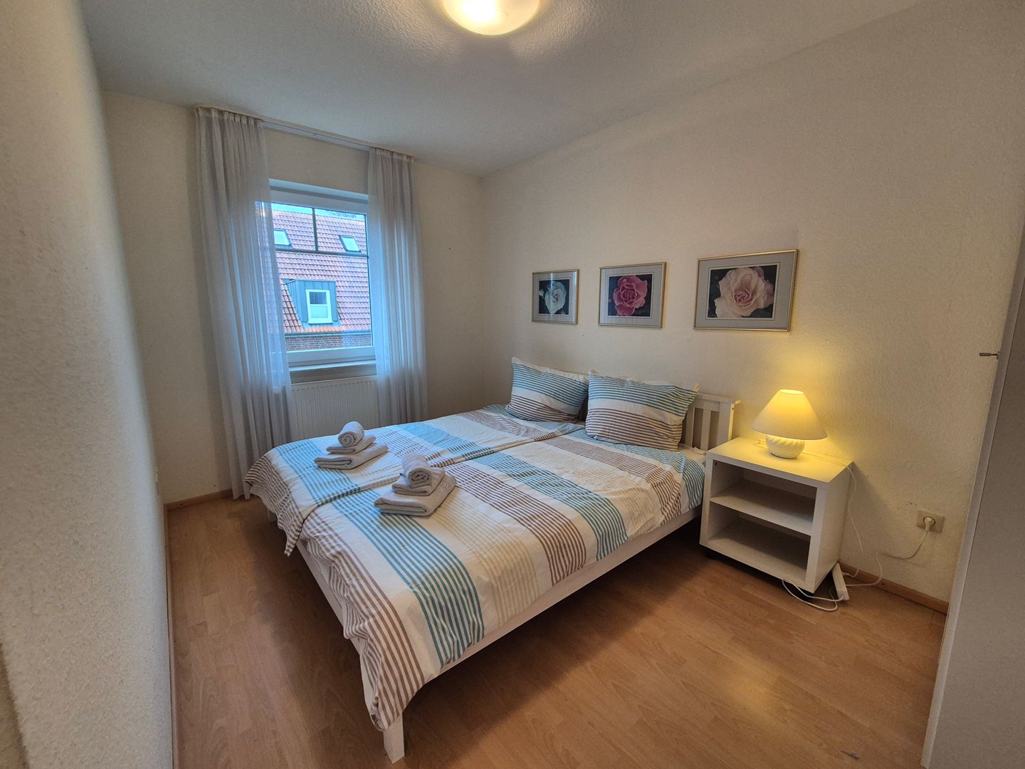  Kegelrobbe Norddeich - 