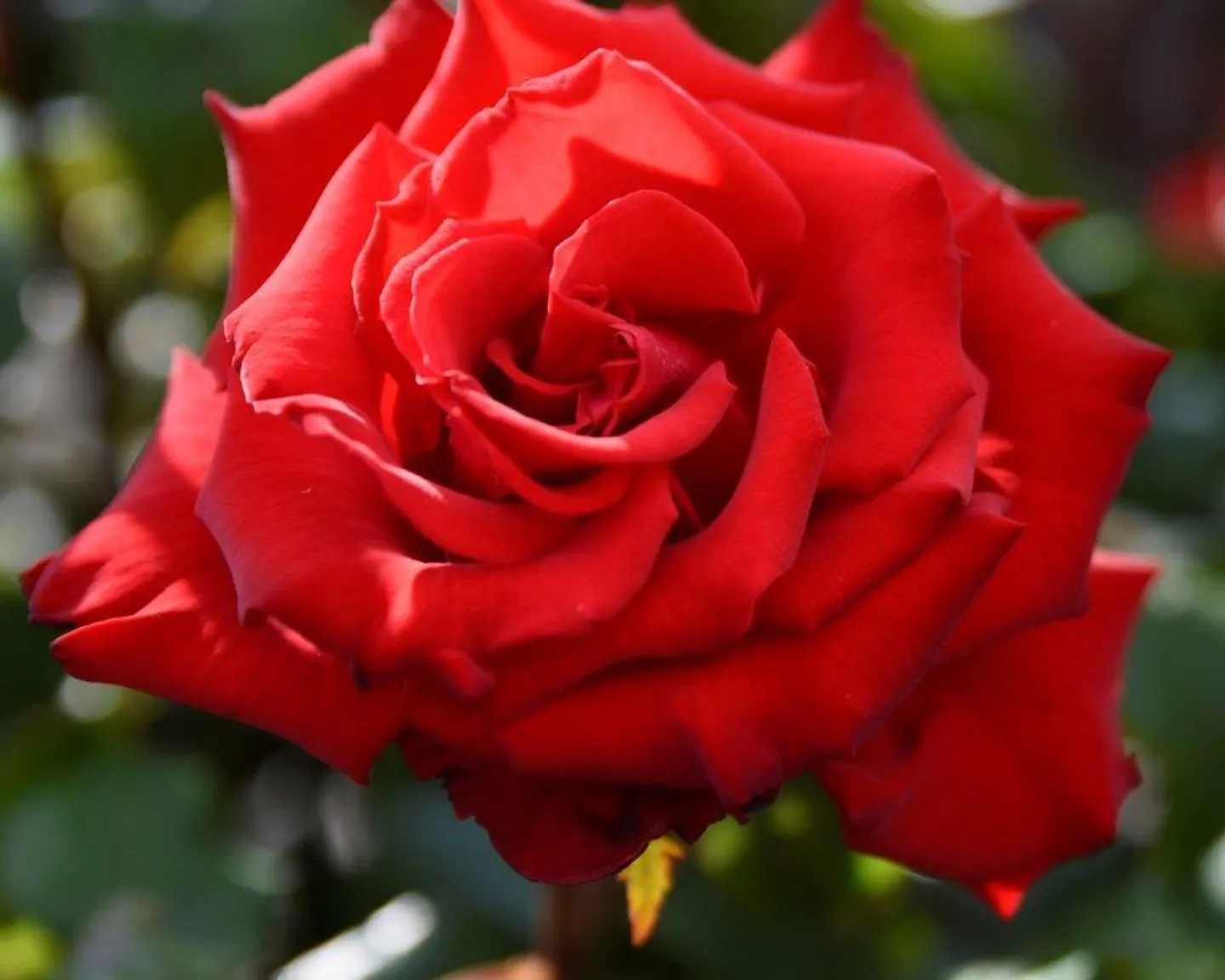  Ferienhaus MAGELLAN '2'  - 