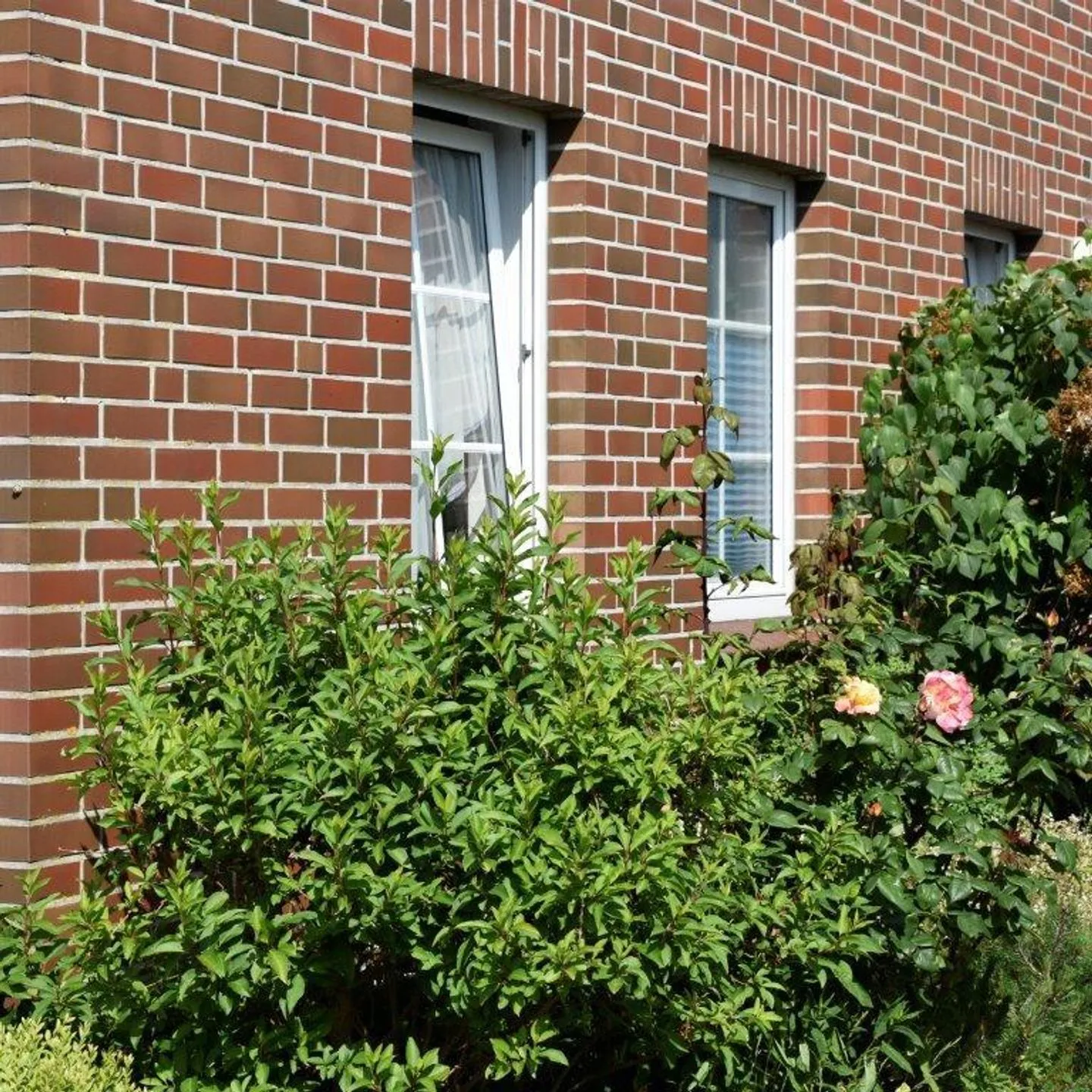  Ferienhaus MAGELLAN '2'  - 