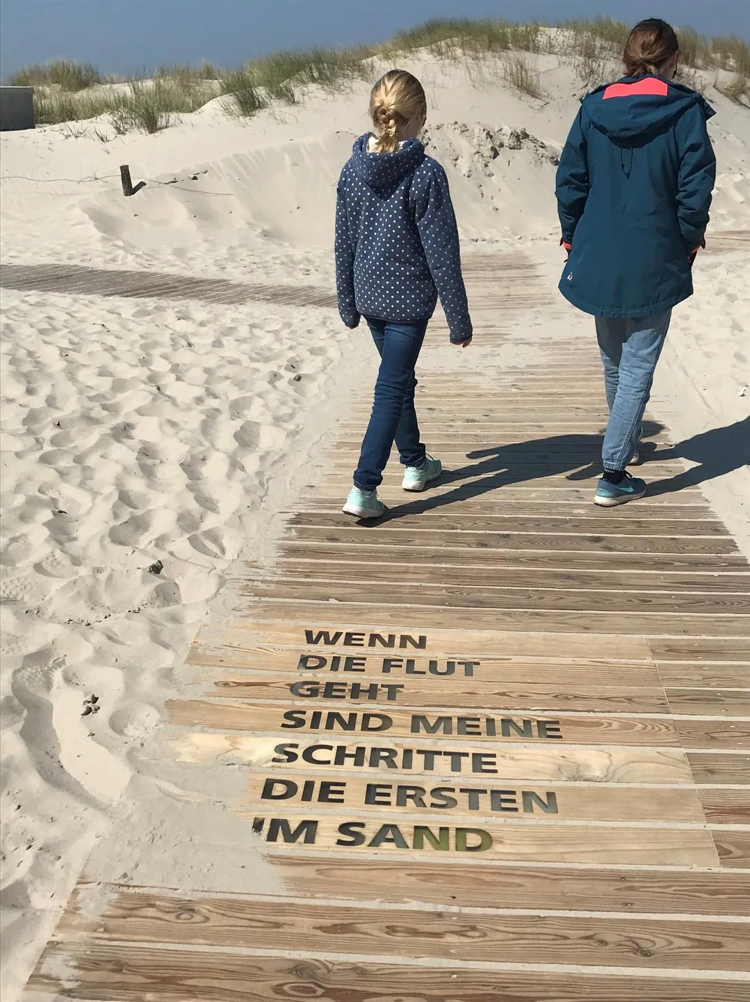 DÜNENBLICK 3 am Pirolatal  -