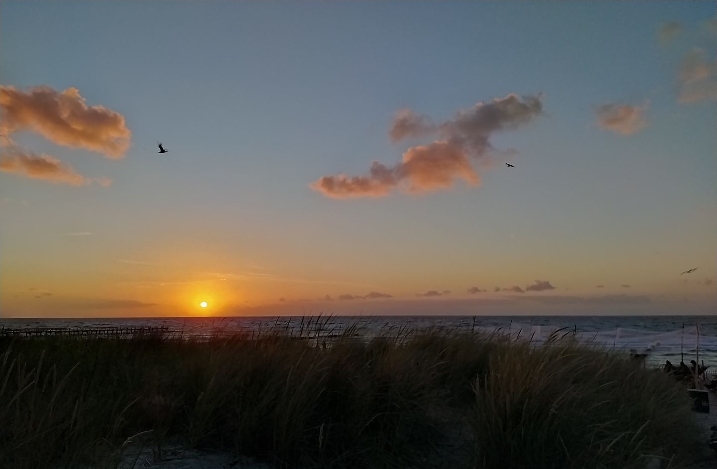  "Meine Auszeit" App. 202 Fischland-Darss-Zingst - 