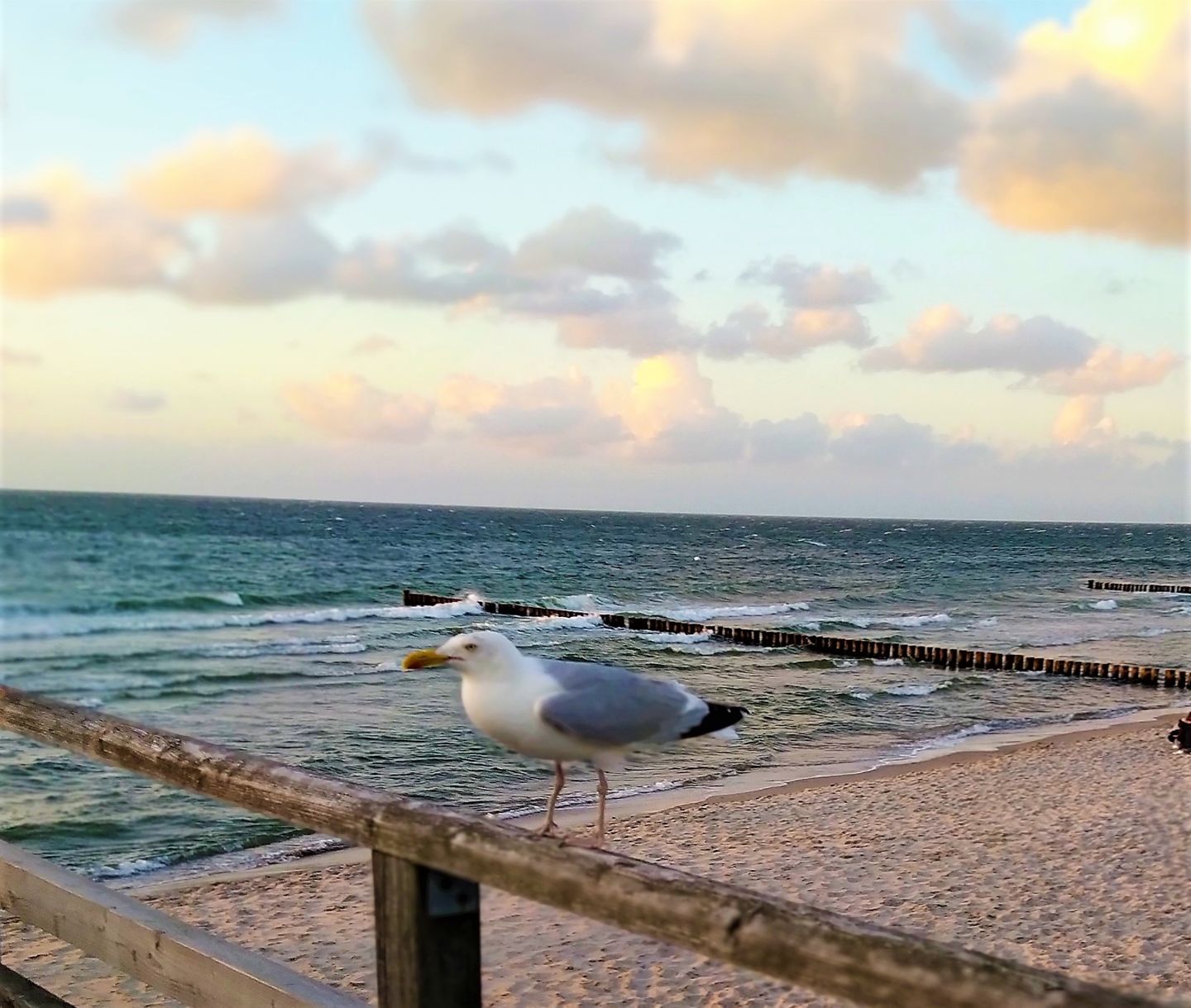  "Meine Auszeit" App. 202 Fischland-Darss-Zingst - 