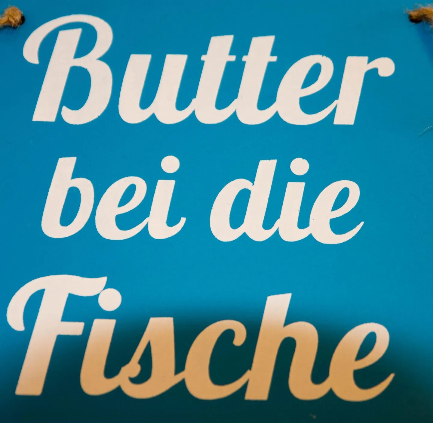 DÜNENBLICK 3 am Pirolatal  -