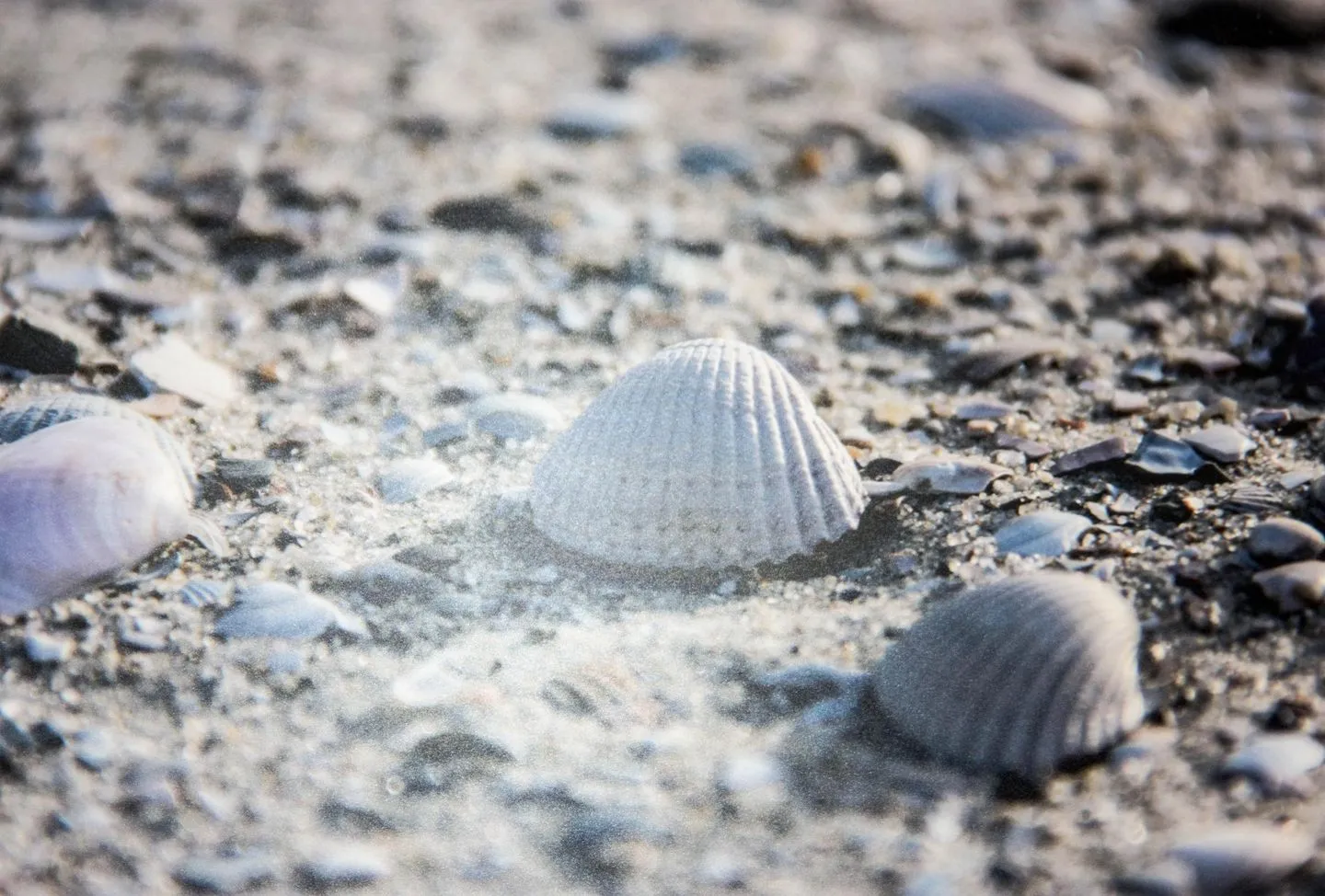 DÜNENBLICK 3 am Pirolatal  -
