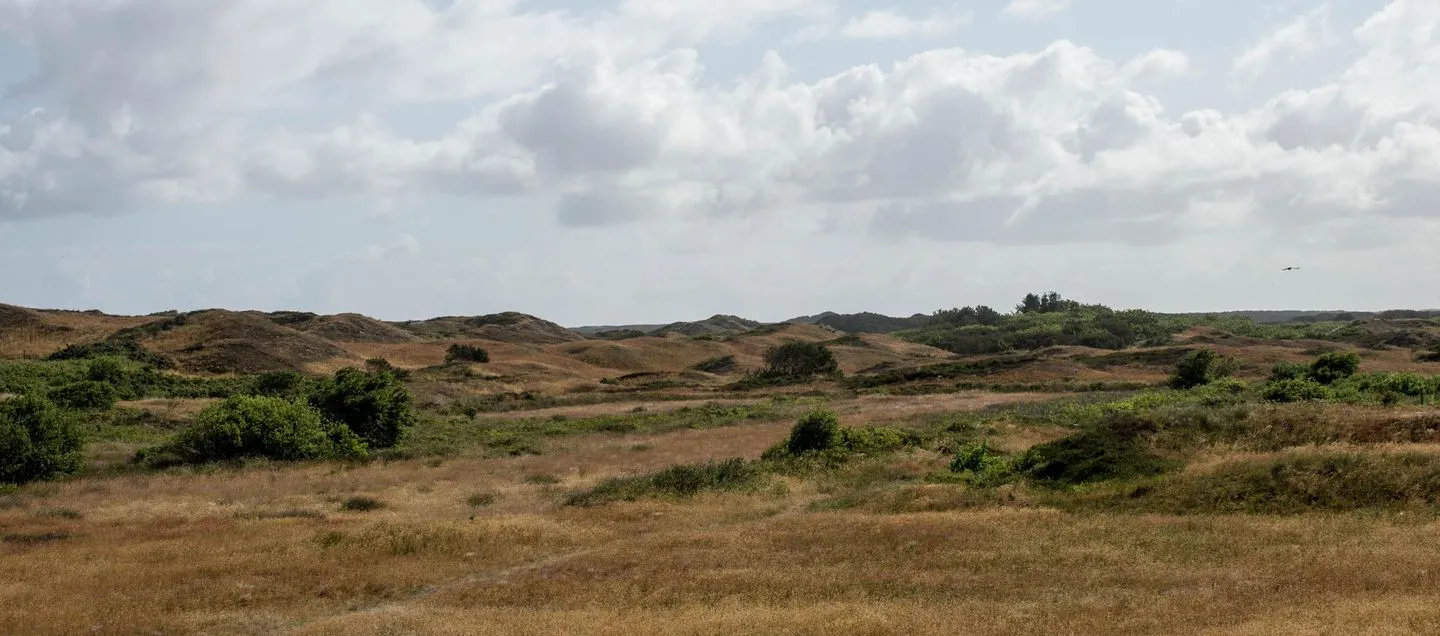 DÜNENBLICK 3 am Pirolatal  -