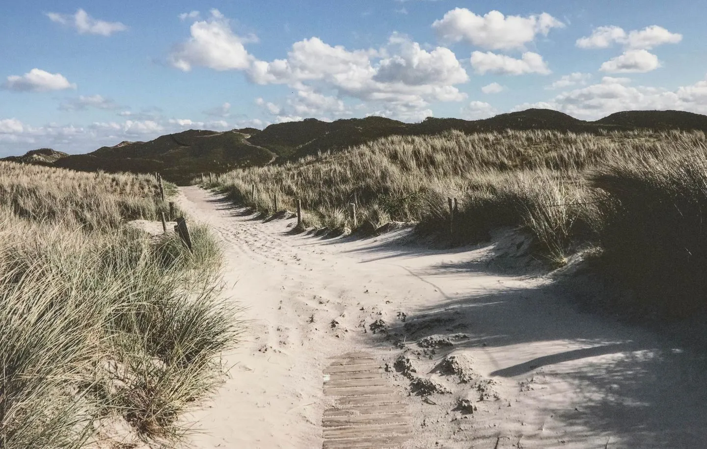 DÜNENBLICK 3 am Pirolatal  -