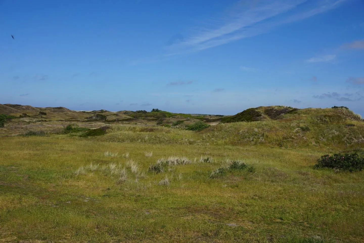  'DÜNENBLICK 1' am Pirolatal  - 