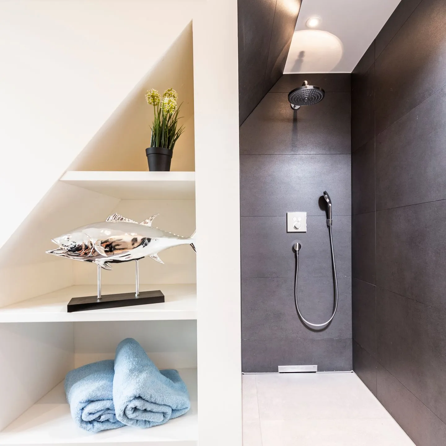 Sternengucker Sternengucker SPO Ording - 