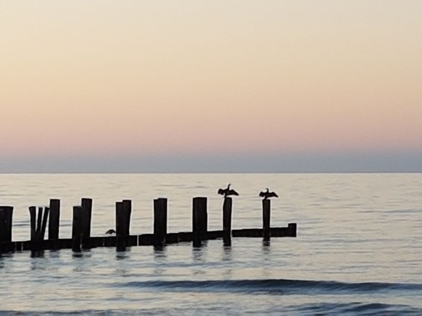  Darßer Weg 32a Whg. 16 "Kormoran" Fischland-Darss-Zingst - 