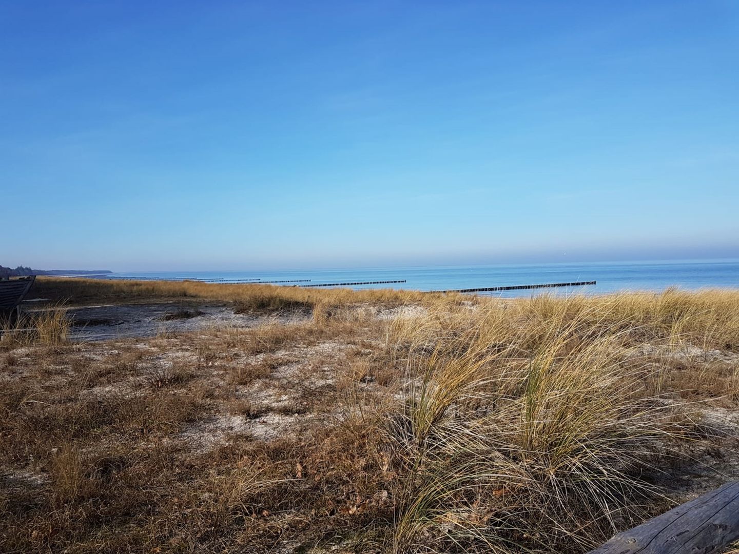  Darßer Weg 32a Whg. 16 "Kormoran" Fischland-Darss-Zingst - 