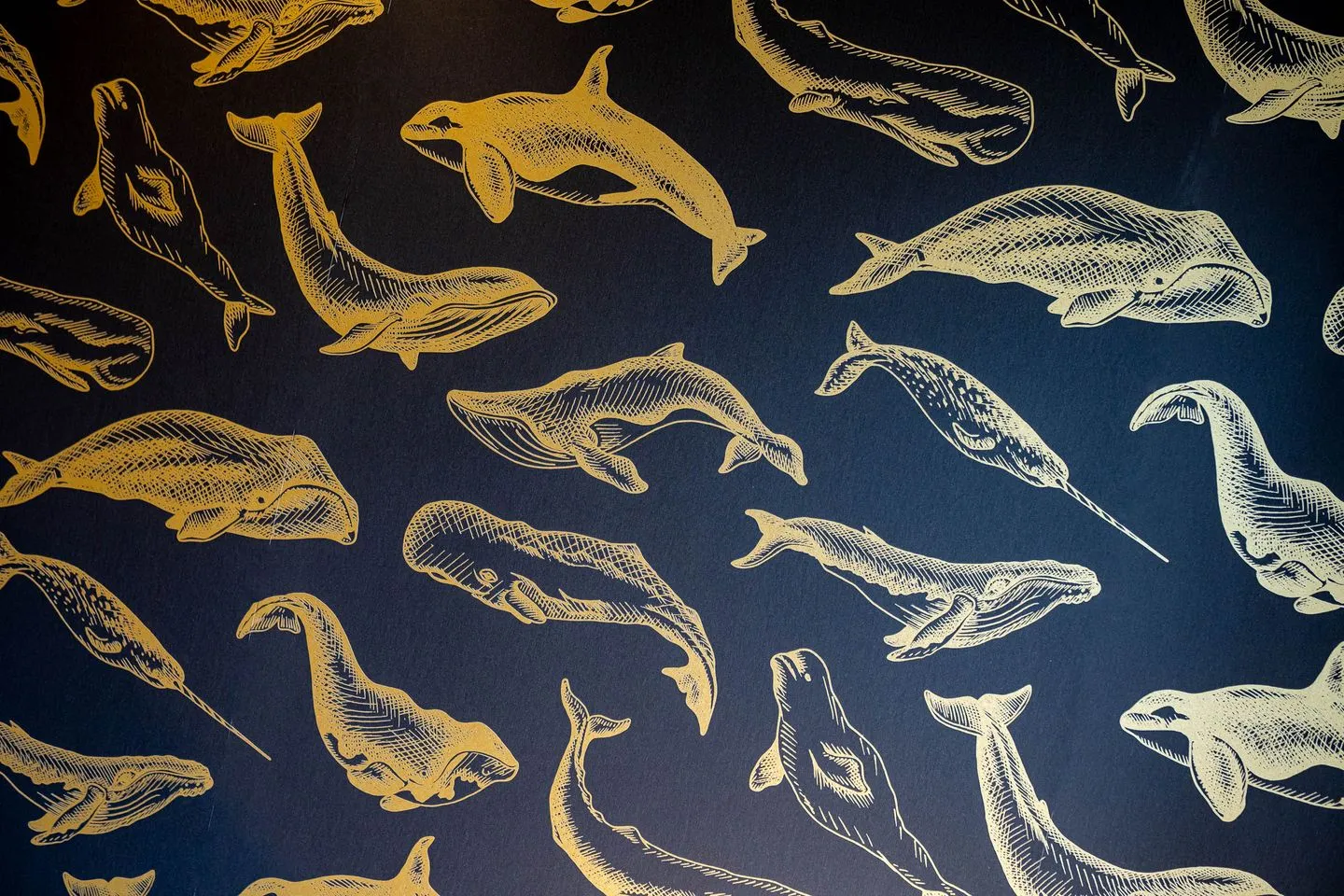 Buhne Buhne 2 SPO Ording - 