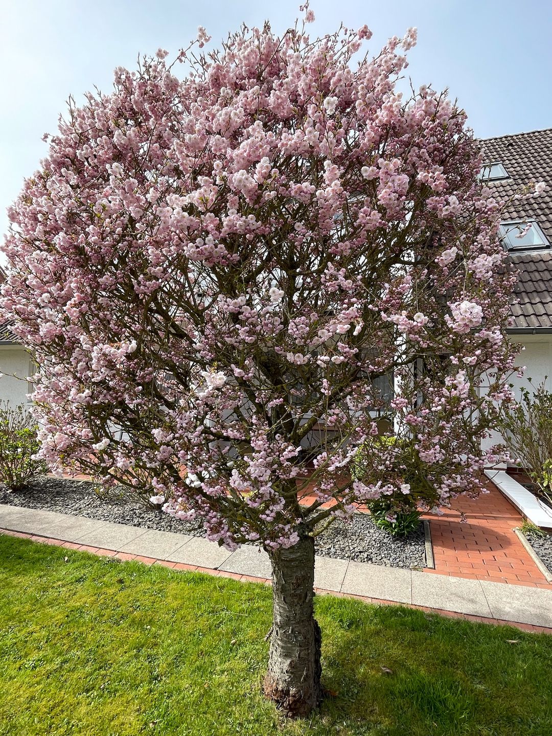  "Feriengarten Büsum - B01" Büsum - Garten
