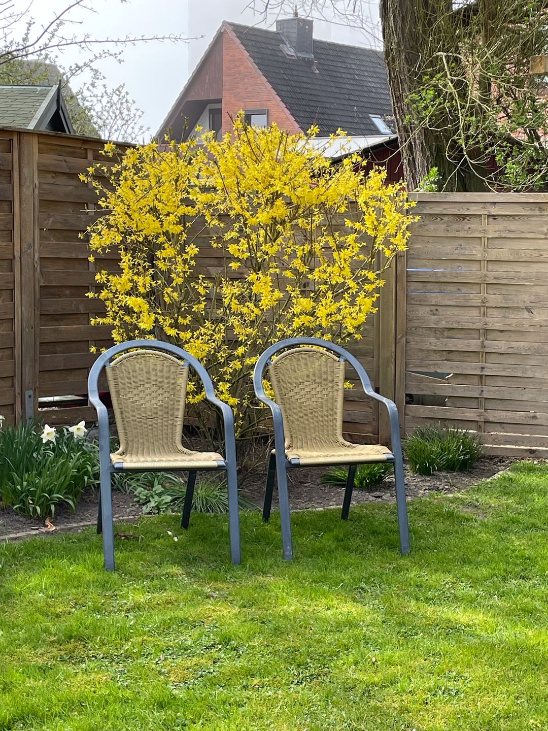  "Feriengarten Büsum - D12" Büsum - Garten