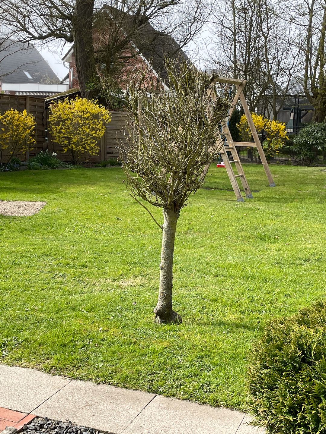  "Feriengarten Büsum - C16" Büsum - Garten