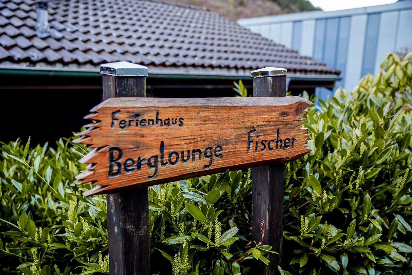  Berglounge Fischer Winterberg - Niedersfeld - Decorative detail