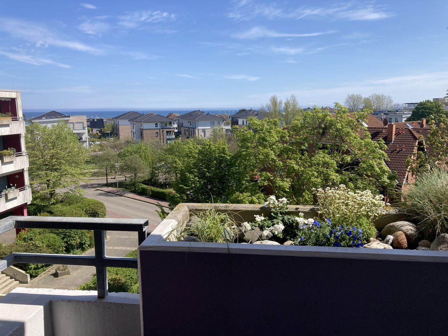  Berolina 316 - Möwennest Dahme - 