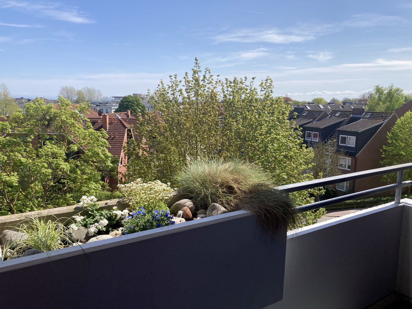  Berolina 316 - Möwennest Dahme - Meerblick