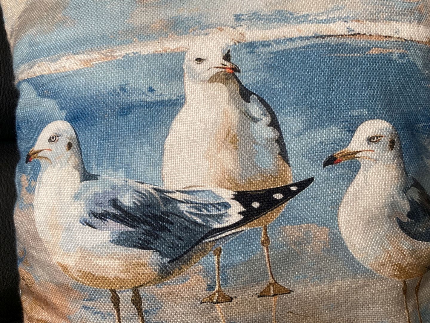  Möwennest Dahme - Dekoratives Detail