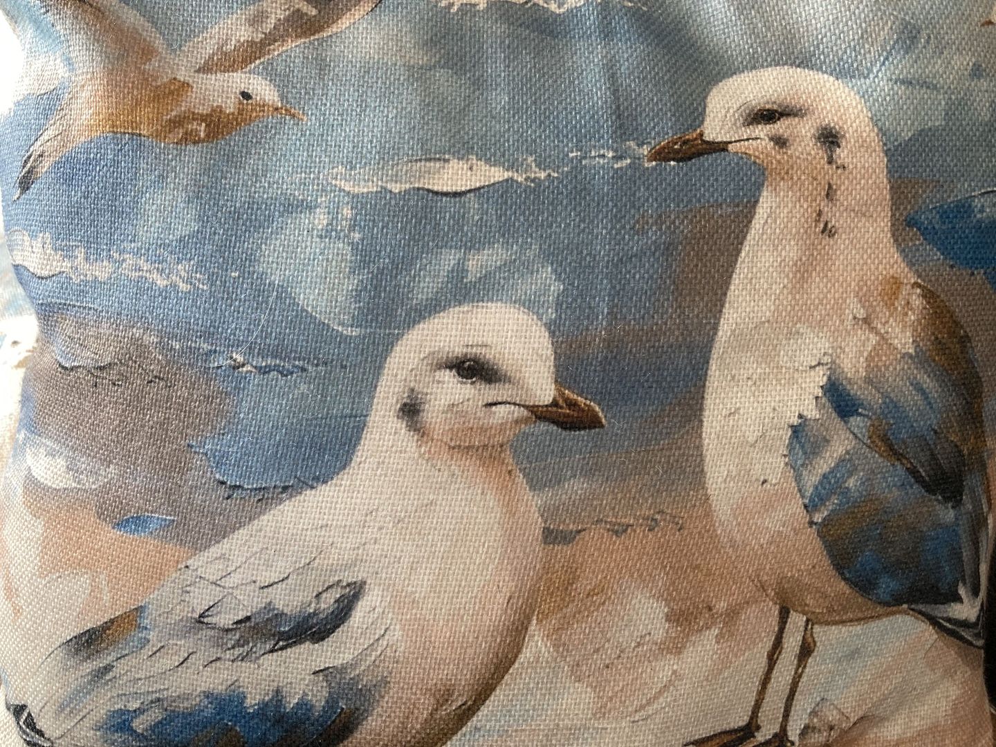  Möwennest Dahme - Dekoratives Detail