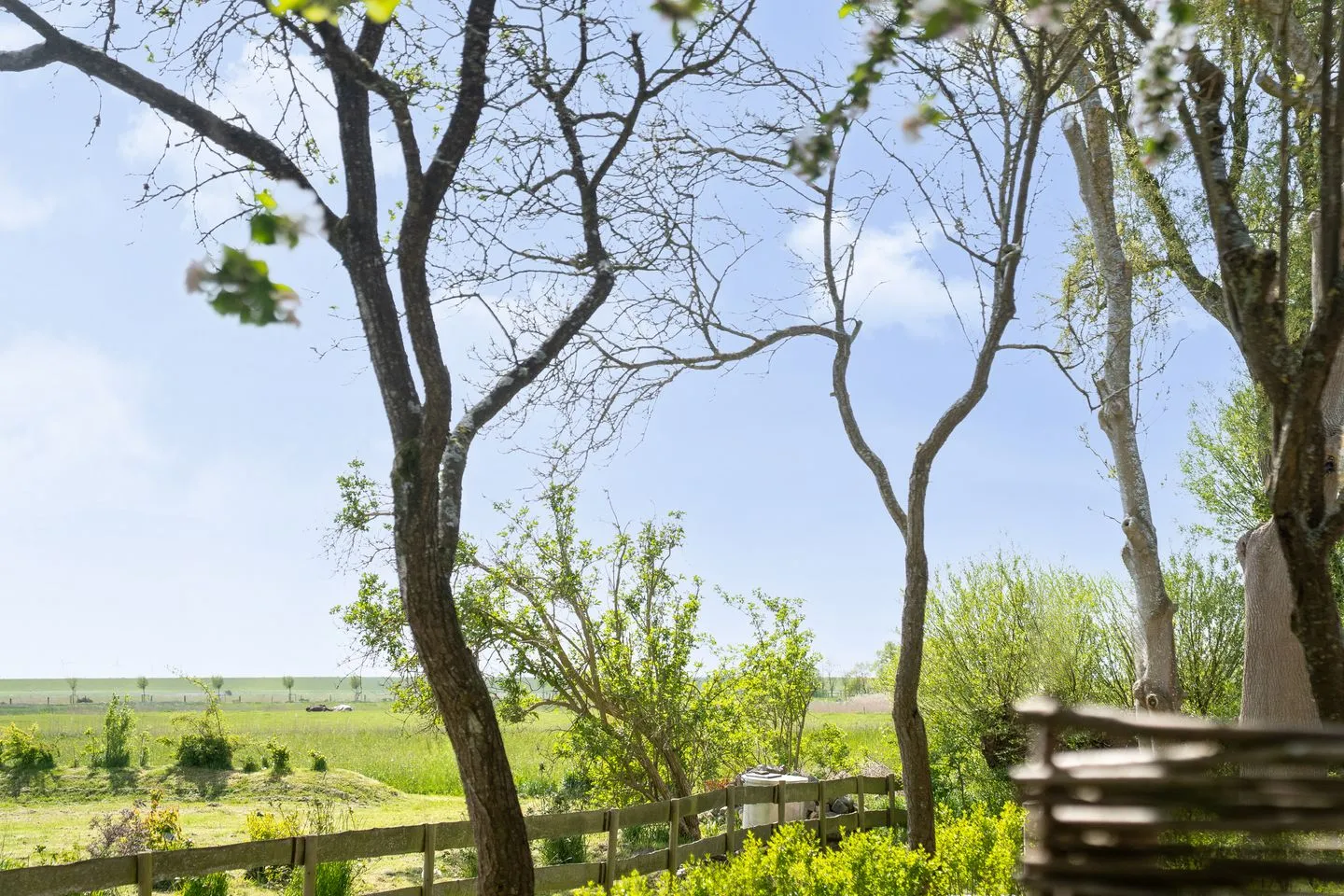 Alte Schule Westerhever Welt SPO Umland - 