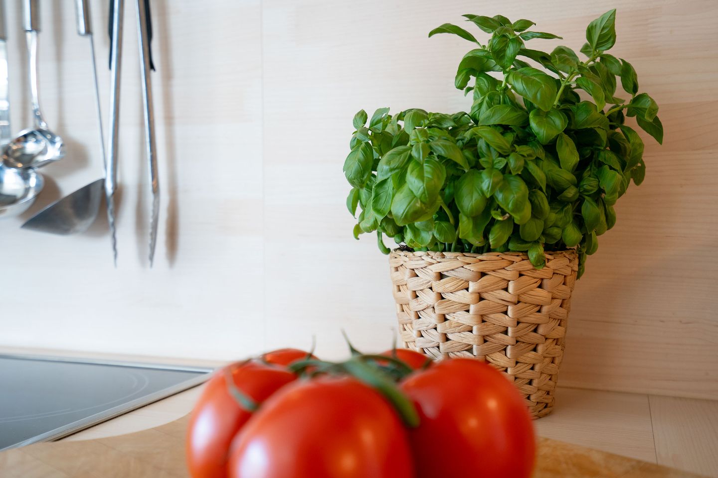 RES/510 - Residenz - Penthousewhg. mit Teilseeblick Scharbeutz - Dekoratives Detail