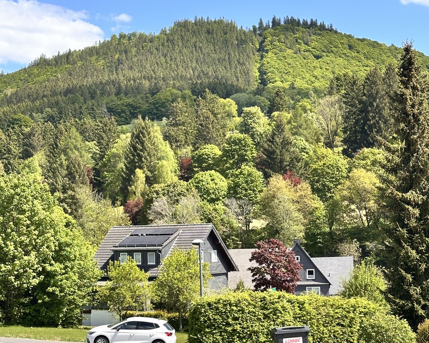 Smart Resorts Haus Smaragd Ferienwohnung 904 Winterberg - 