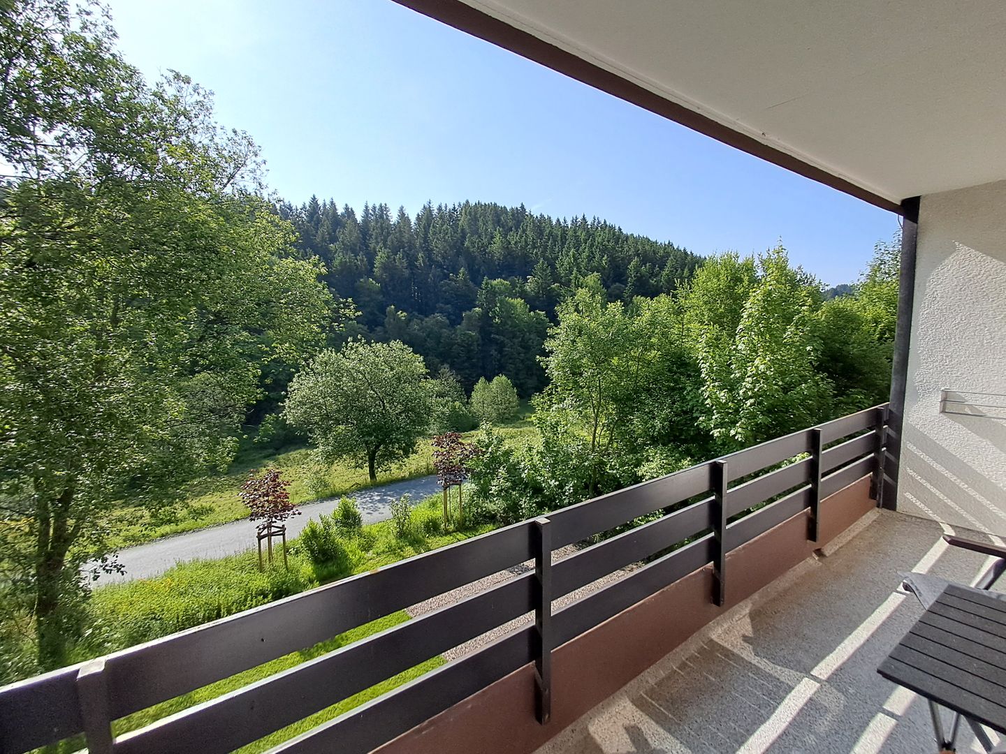 Waldpanorama Winterberg -