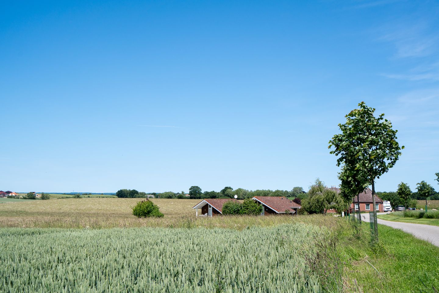  Hof Ruhleben - Haus Fischerfreunde Neustadt in Holstein - Landschaft
