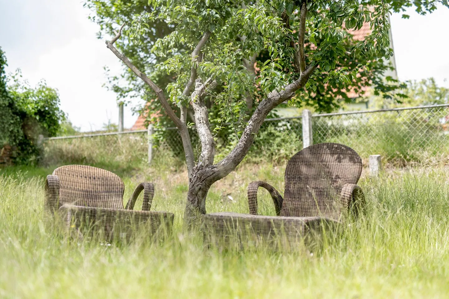  ELSE in der 'Stranddistel'  - 