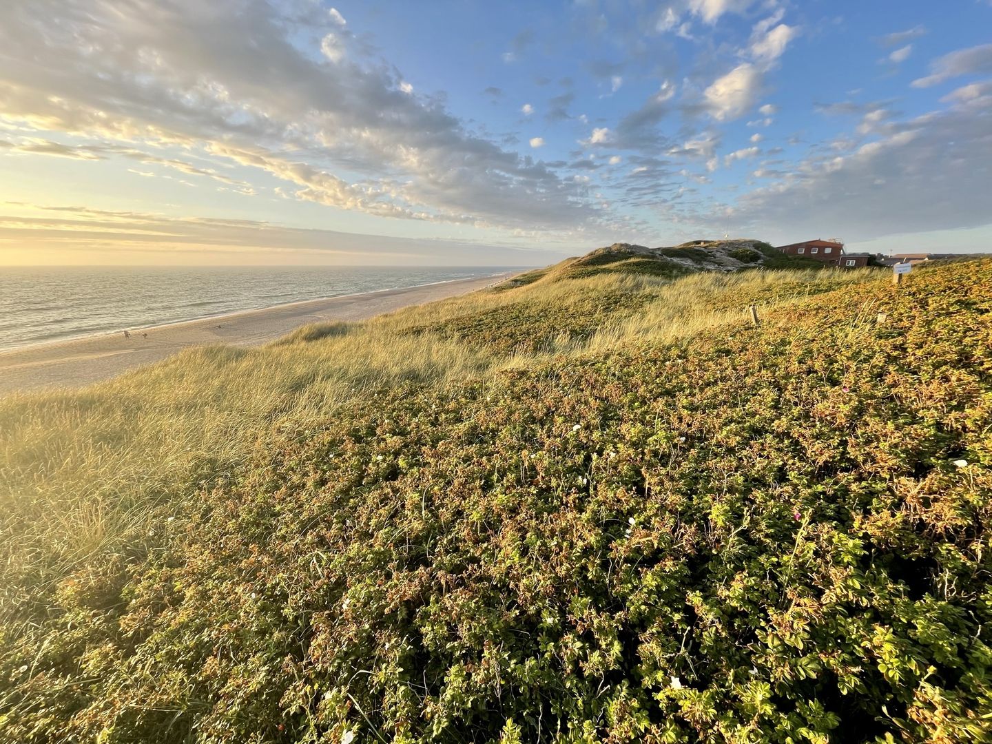 Dünennest Westerland Dünennest - 