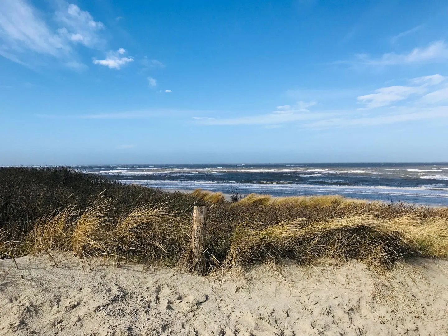  'DÜNENBLICK 2' am Pirolatal  - 