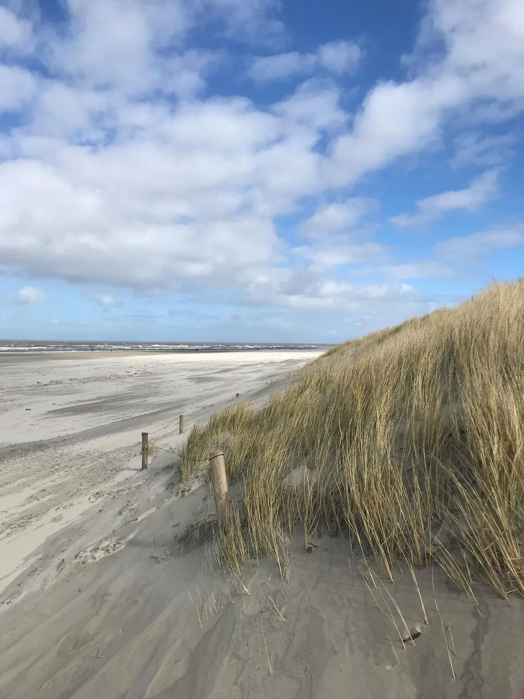  'DÜNENBLICK 2' am Pirolatal  - 