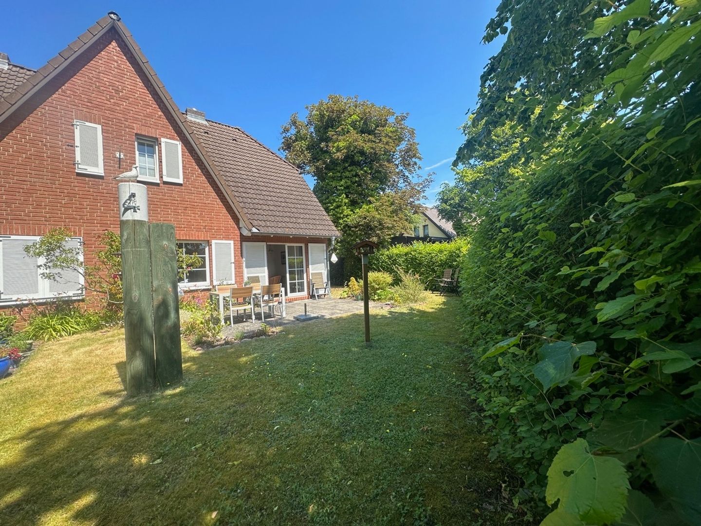  Strandgut Fischland-Darss-Zingst - 