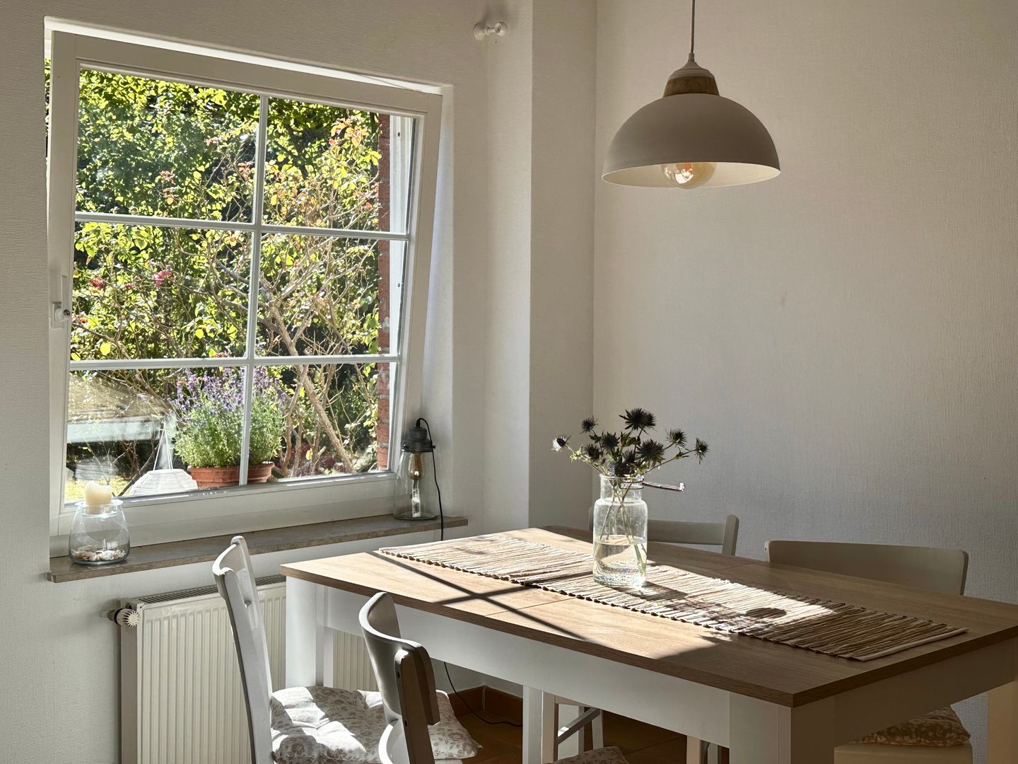  Strandgut Fischland-Darss-Zingst - 