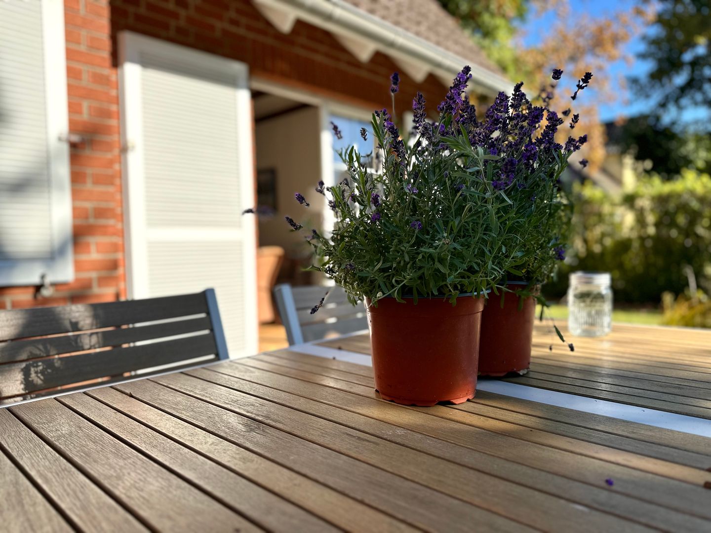  Strandgut Fischland-Darss-Zingst - 