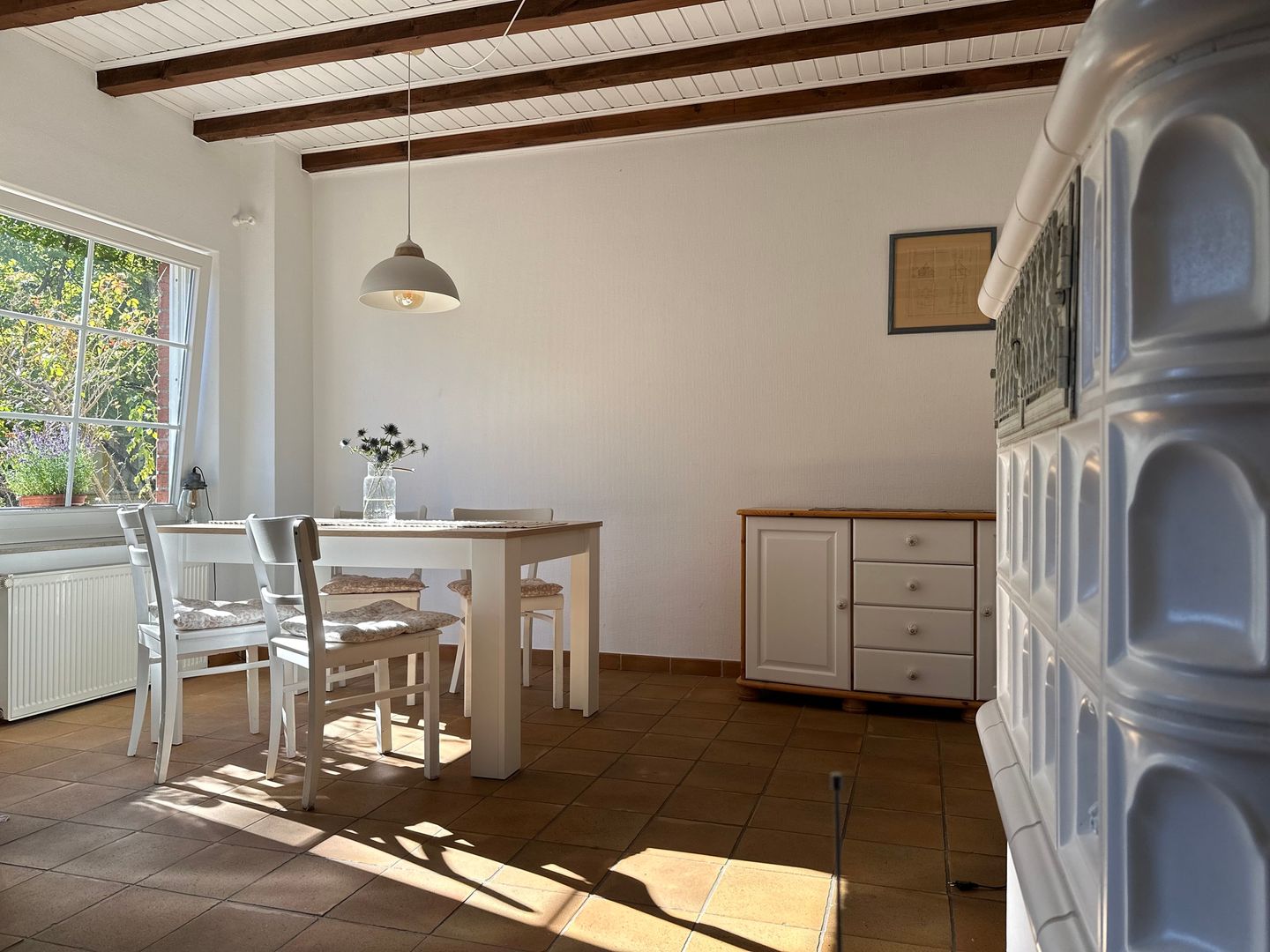  Strandgut Fischland-Darss-Zingst - 