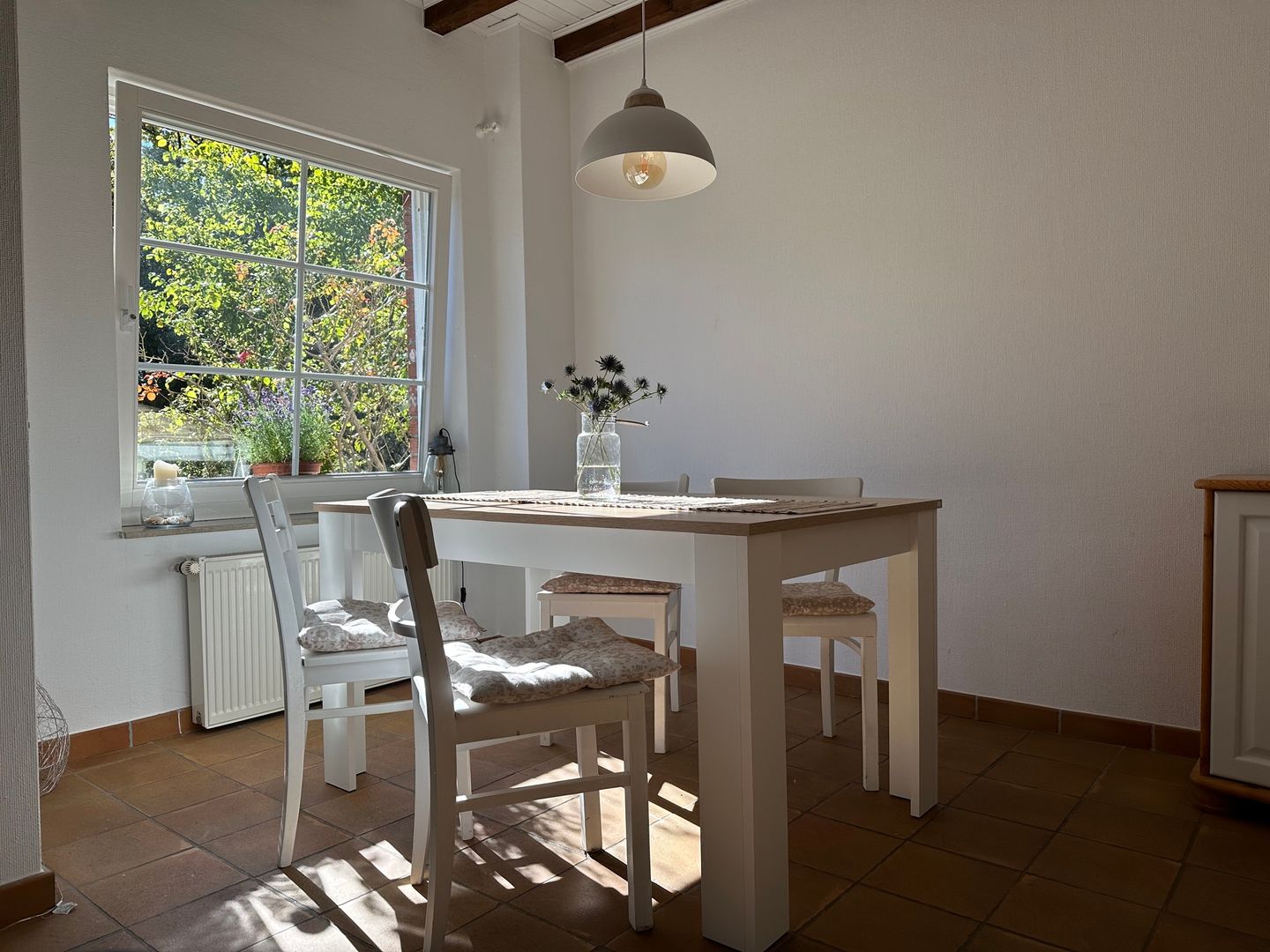  Strandgut Fischland-Darss-Zingst - 