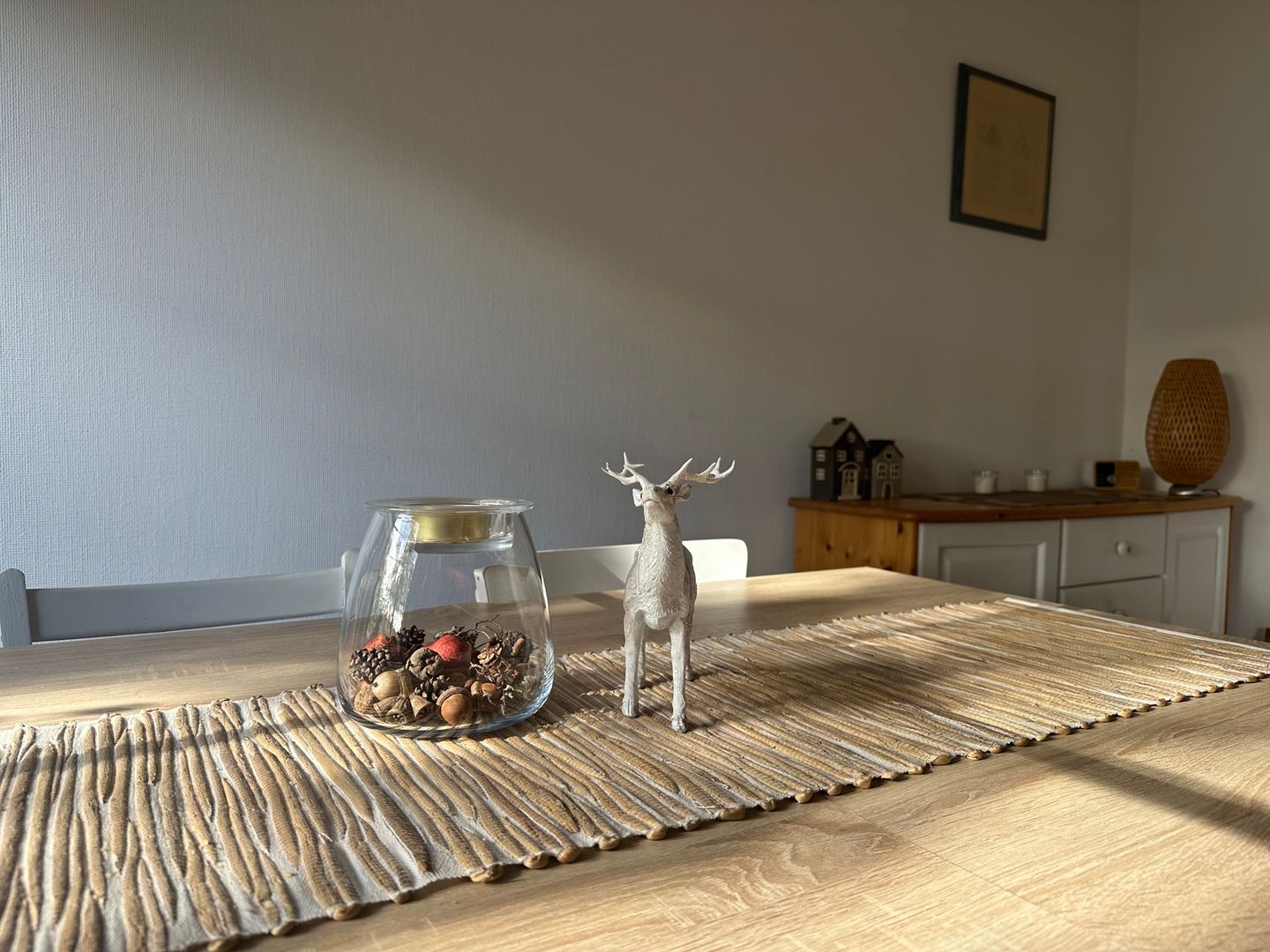  Strandgut Fischland-Darss-Zingst - 