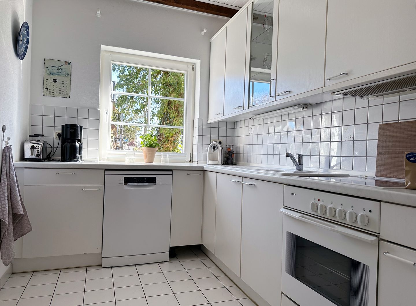  Strandgut Fischland-Darss-Zingst - 