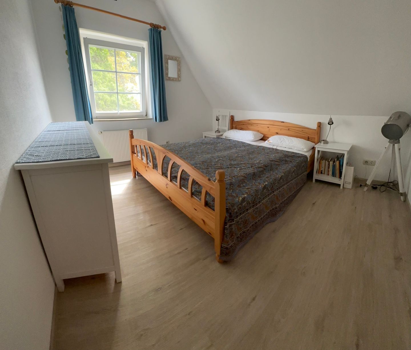  Strandgut Fischland-Darss-Zingst - 