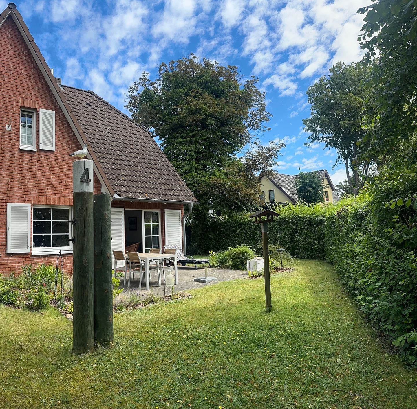  Strandgut Fischland-Darss-Zingst - 