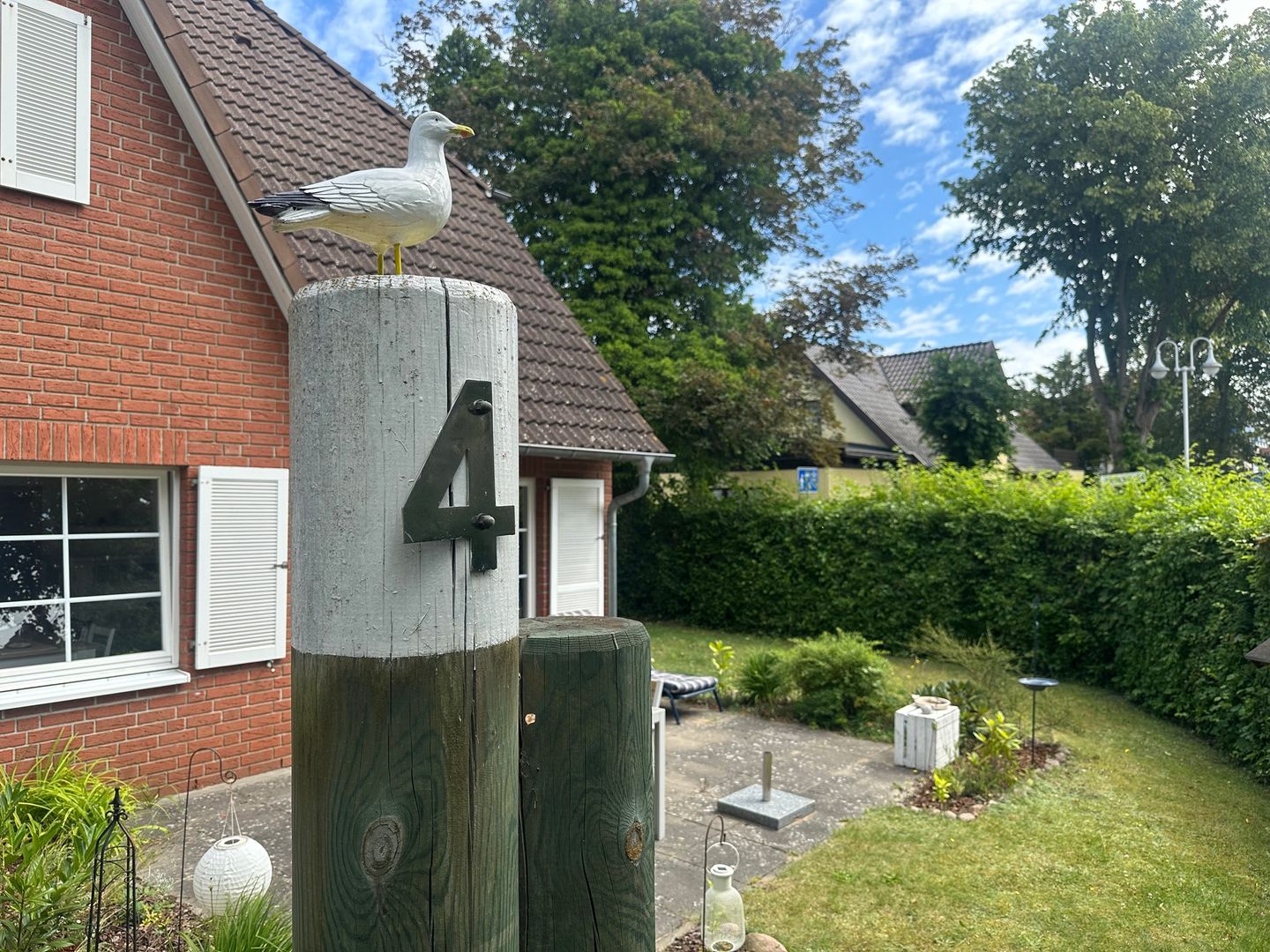  Strandgut Fischland-Darss-Zingst - 